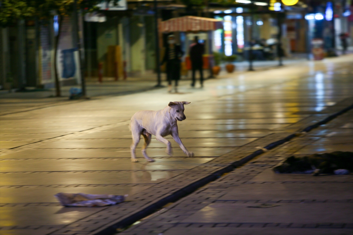 İzmir'de sokağa çıkma kısıtlamasına uyuldu