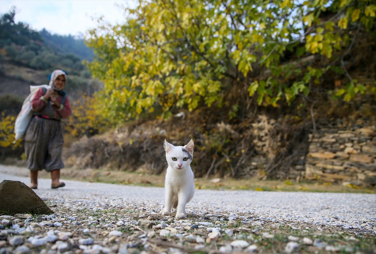 İzmir'in hayalet köyü