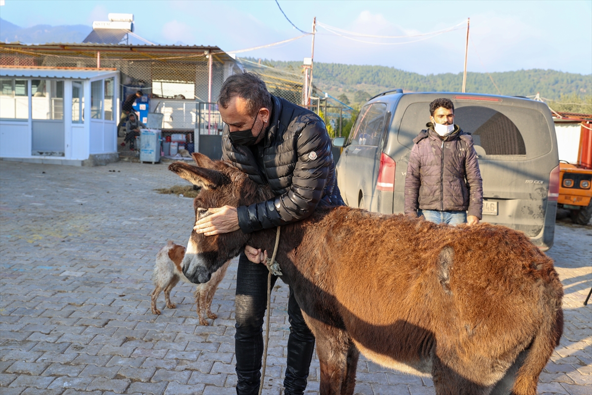 İşkenceye uğrayan eşek İzmir'e getirildi