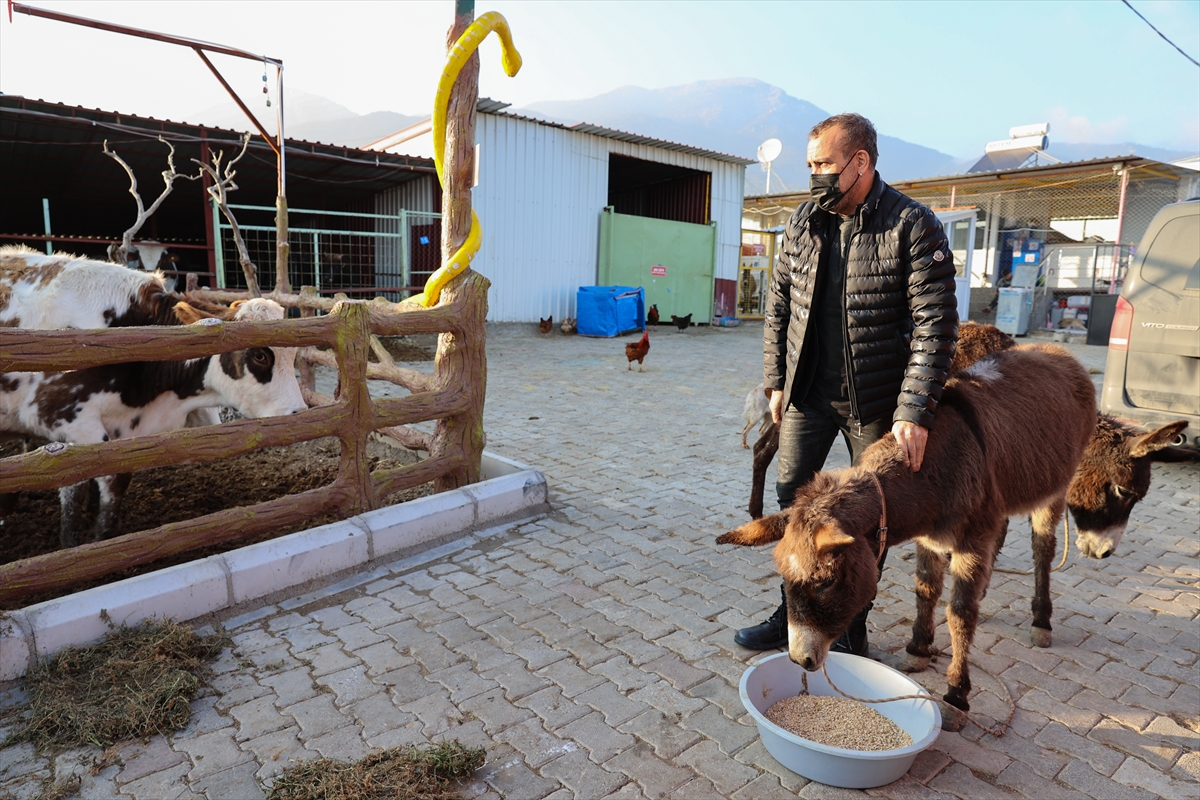 İşkenceye uğrayan eşek İzmir'e getirildi