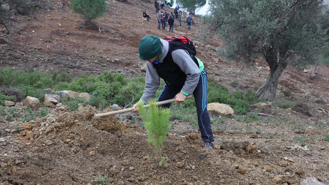 Güzelbahçe'de 500 fidan toprakla buluştu