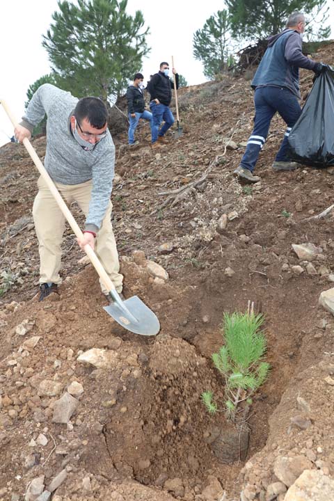 Güzelbahçe'de 500 fidan toprakla buluştu