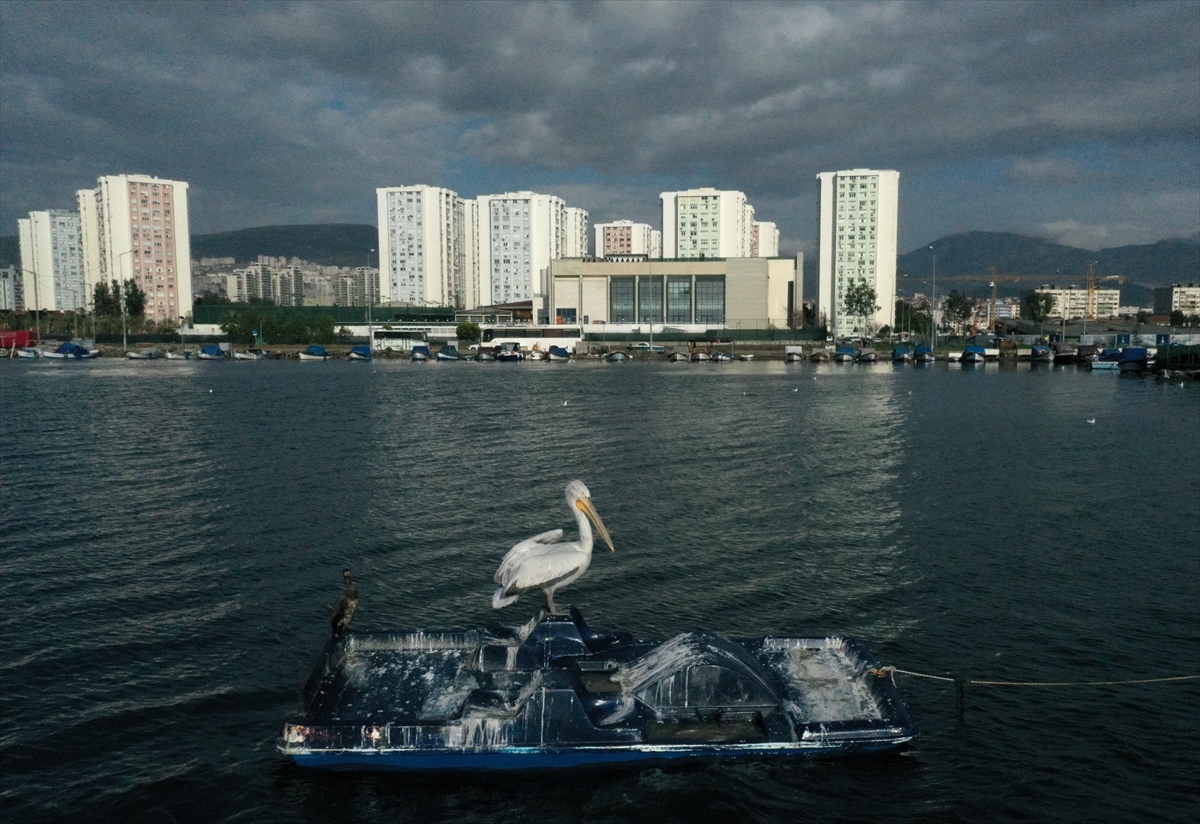 İzmir, yeni yılın ilk gününde sessiz!