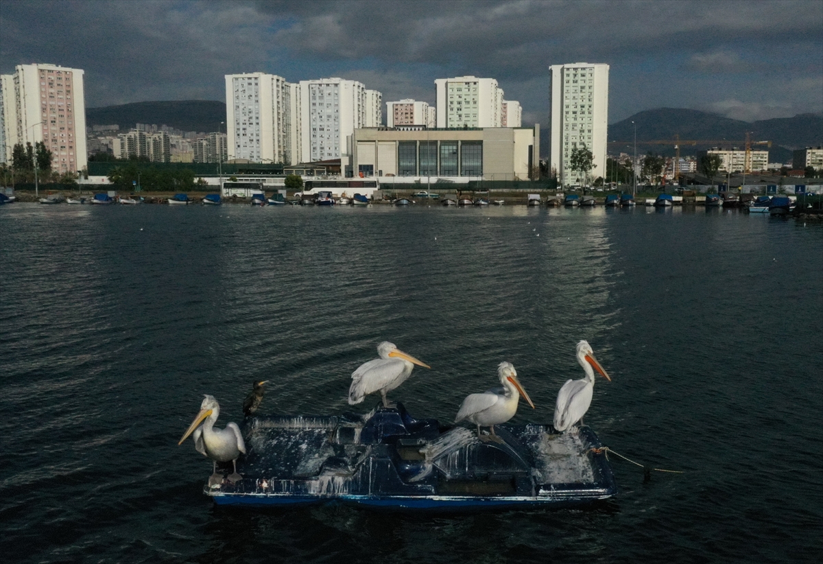 İzmir, yeni yılın ilk gününde sessiz!