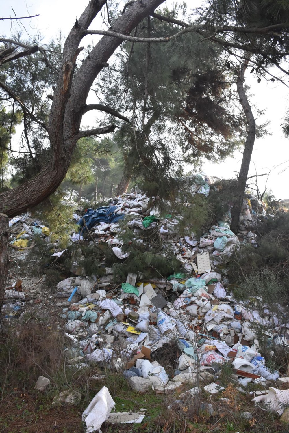 Buca'da cennet doğayı çöplüğe çevirdiler