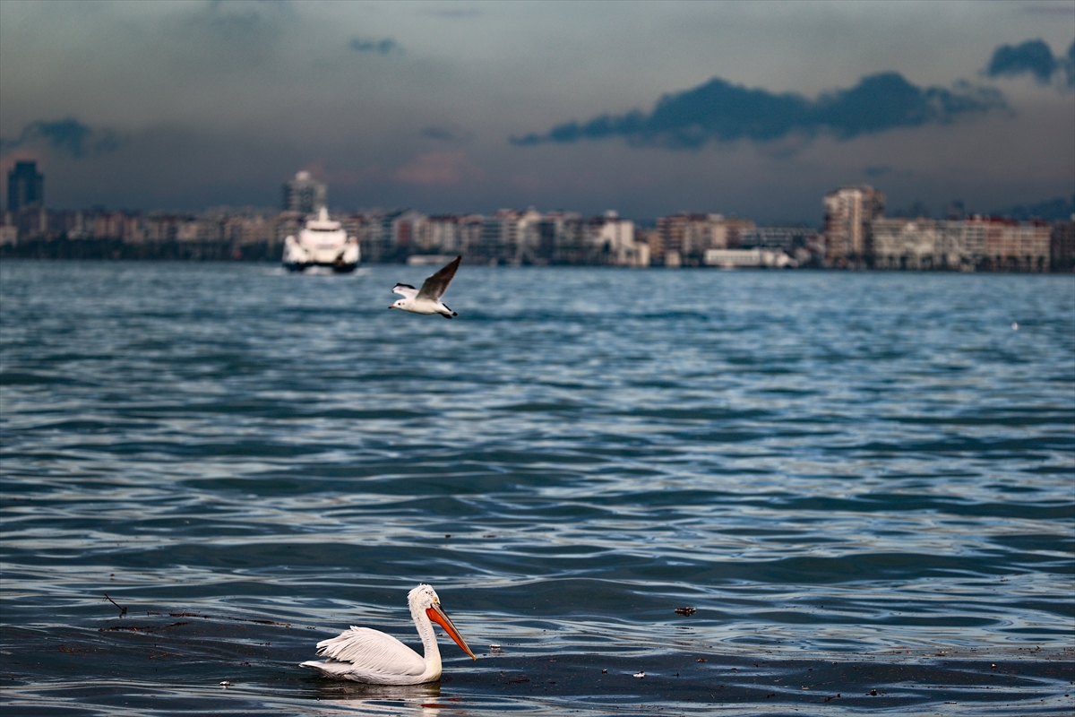 Yağmur sonrası İzmir