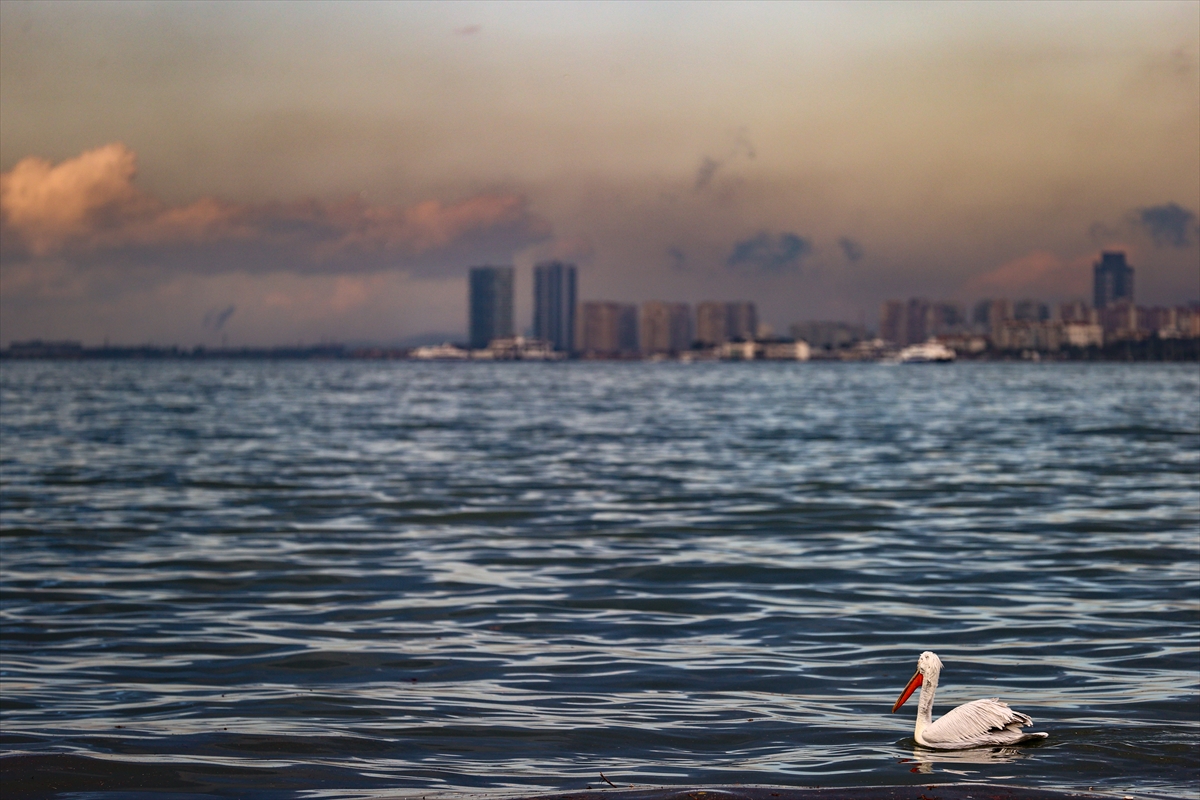 Yağmur sonrası İzmir