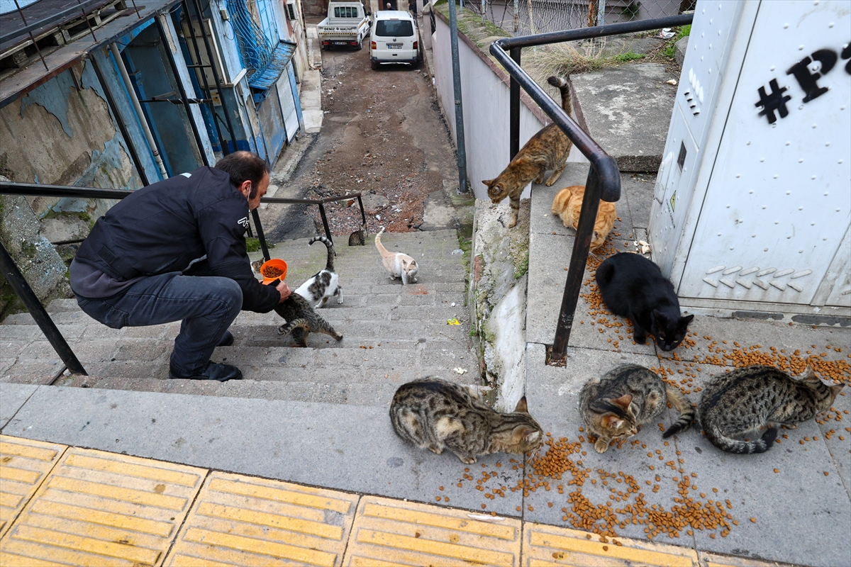 Motosikletli kurye sokak hayvanları için yollara düşüyor