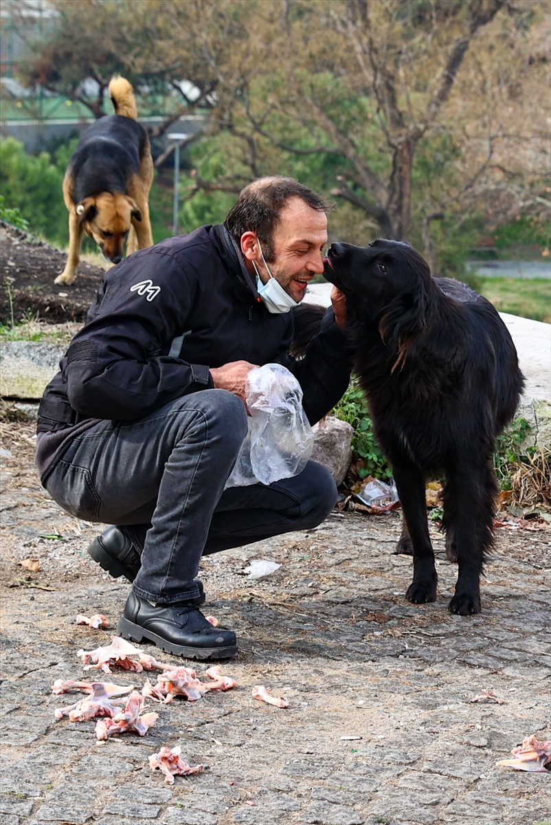 Motosikletli kurye sokak hayvanları için yollara düşüyor