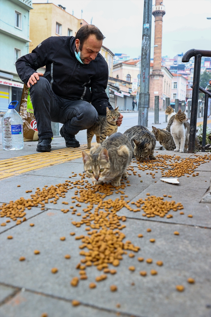 Motosikletli kurye sokak hayvanları için yollara düşüyor