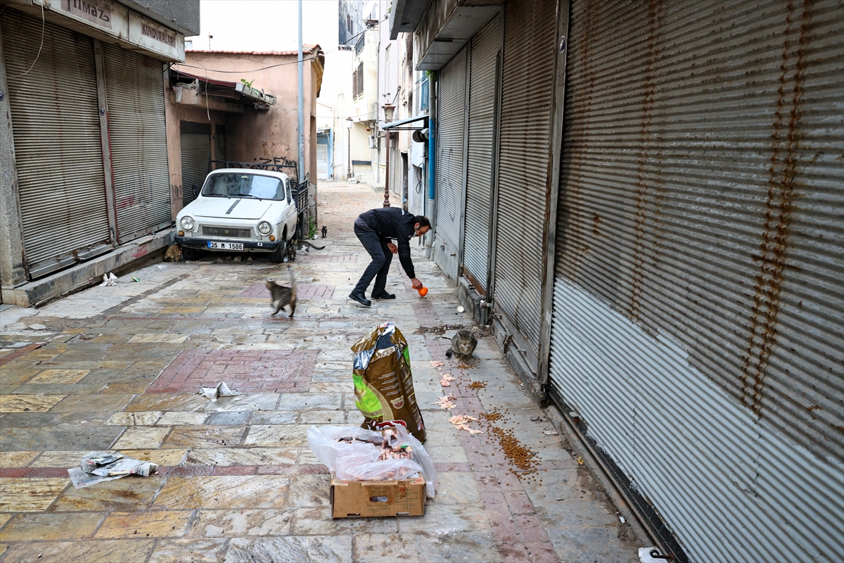 Motosikletli kurye sokak hayvanları için yollara düşüyor