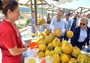 Urla'da Kavun Festivali coşkusu
