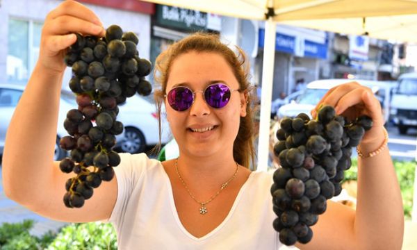 Urla'da bağbozumu zamanı