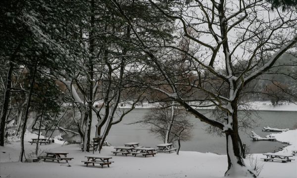 İzmir Karagöl Tabiat Parkı beyaza büründü