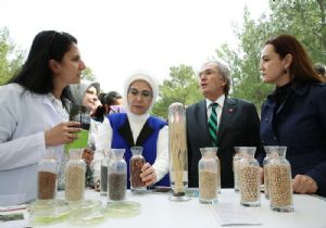 Kemalpaşa'da 'Yerli Tohum Buluşması'