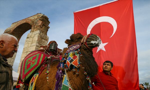 En güzel deve seçildi