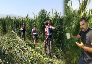 Zehir ormanına bir de Ayet-el Kürsi asmışlar
