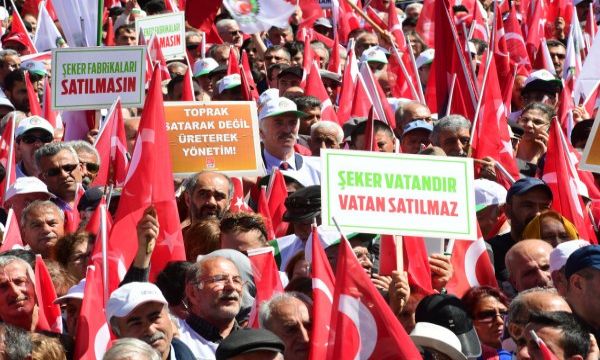 CHP'nin Çorum'daki şeker mitinginden kareler