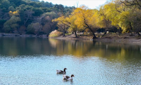 Yurtta kış, İzmir'de sonbahar