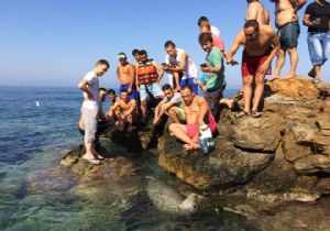 İzmir'de tatilcileri şaşırtan görüntü!