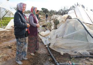 İzmirli üreticilerin emeklerini kar vurdu