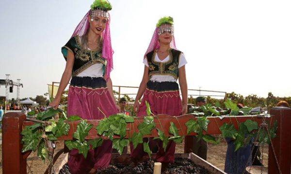 Buca'da hasat zamanı