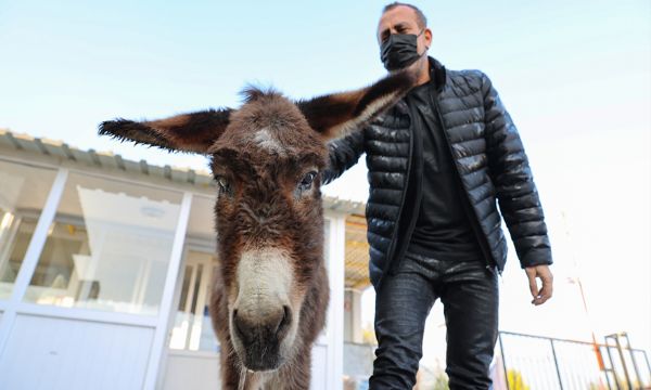 İşkenceye uğrayan eşek İzmir'e getirildi