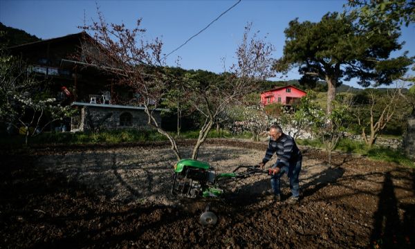 'Dağ evleri'ne Kovid-19 nedeniyle erken çıktılar