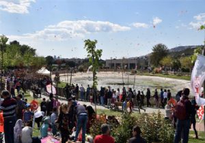 Bornova'daki uçurtma şenliğine yoğun ilgi