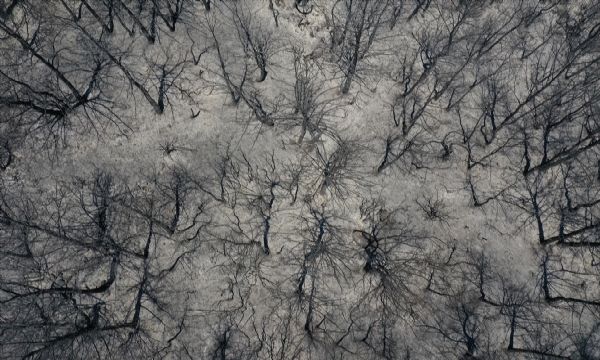 Menderes'teki yangının tahribatı görüntülendi