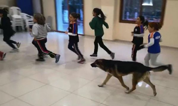 Voleybol takımının antrenmanında sürpriz konuk