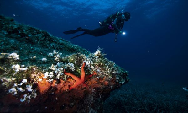 Su altı tutkunlarının yeni gözdesi Karaburun!