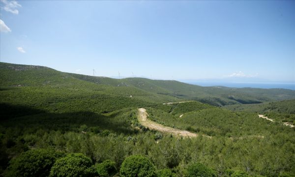 Bülbüldağı, eski günlerine döndü!