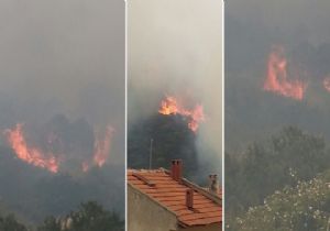 Foça alev alev