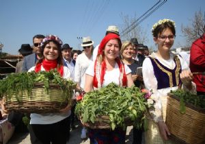 Neşeli Otlar Festivali...