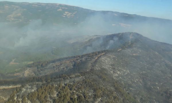İzmir'in ciğerleri kül oldu
