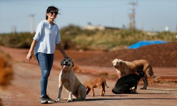 Sahipsiz köpeklerin kurtarıcısı