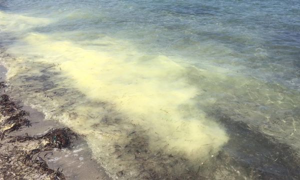 İzmir'de deniz sarıya boyandı!!