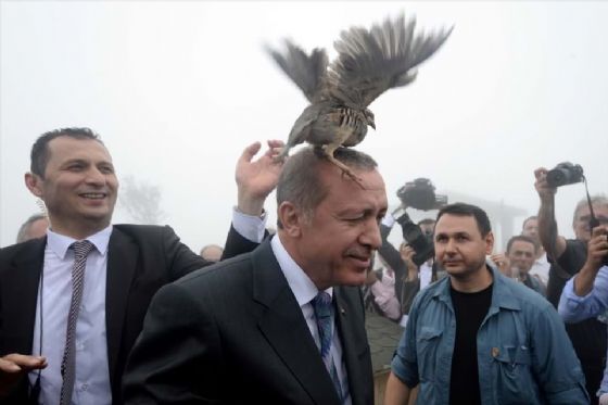 İşte TFMD Yılın basın fotoğrafları!