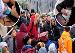 Kedisiyle umuda yolculuğa çıktı