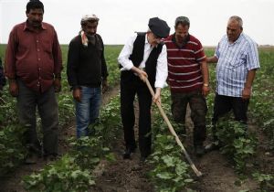 Kılıçdaroğlu kasket taktı, çapa yaptı