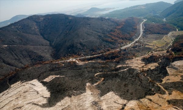 Bayındır'da yanan ormanlık alan böyle görüntülendi