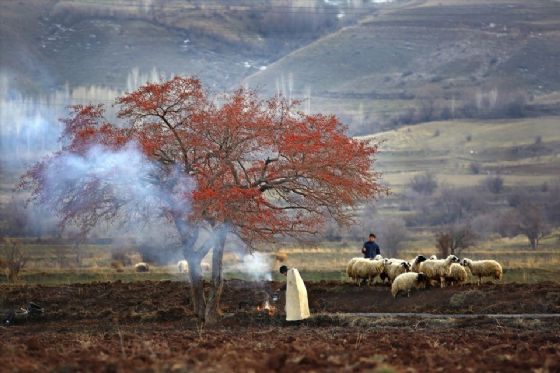 İşte TFMD Yılın basın fotoğrafları!