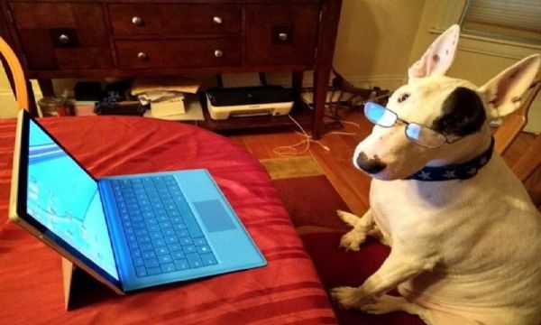 Koronavirüs nedeniyle ‘home office’ çalışanlardan kareler
