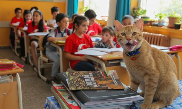 'Tombi' şimdi de kitap kahramanı oldu