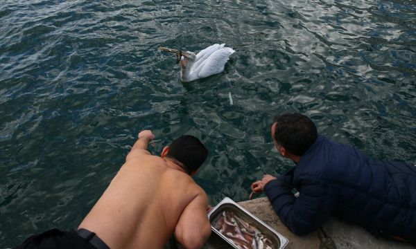 İzmir'de pelikan operasyonu