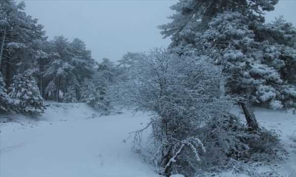 Ege'den kar manzaraları