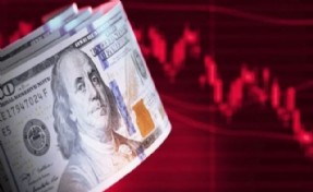 Google'da dolar hatası: 4 lira birden düştü!