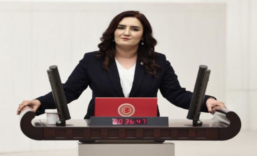 CHP'li Kılıç, 4 aydır kayıp olan Veli Eren Atay’ı İçişleri Bakanlığı’na sordu