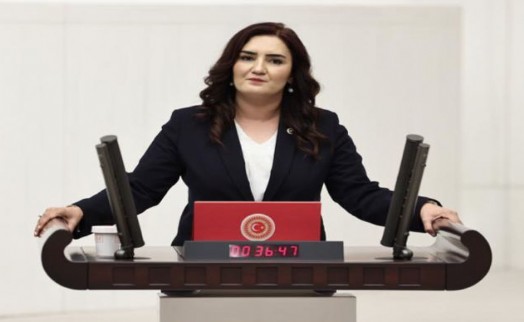 CHP'li Kılıç, 4 aydır kayıp olan Veli Eren Atay’ı İçişleri Bakanlığı’na sordu